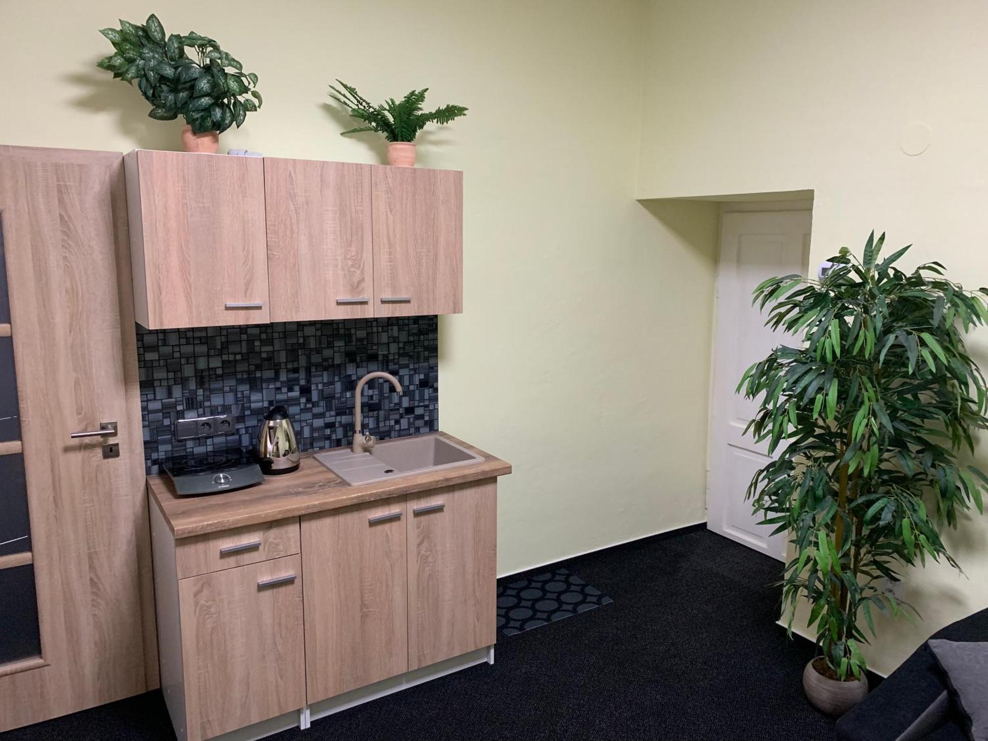 Apartman Alesta Bruntál エクステリア 写真