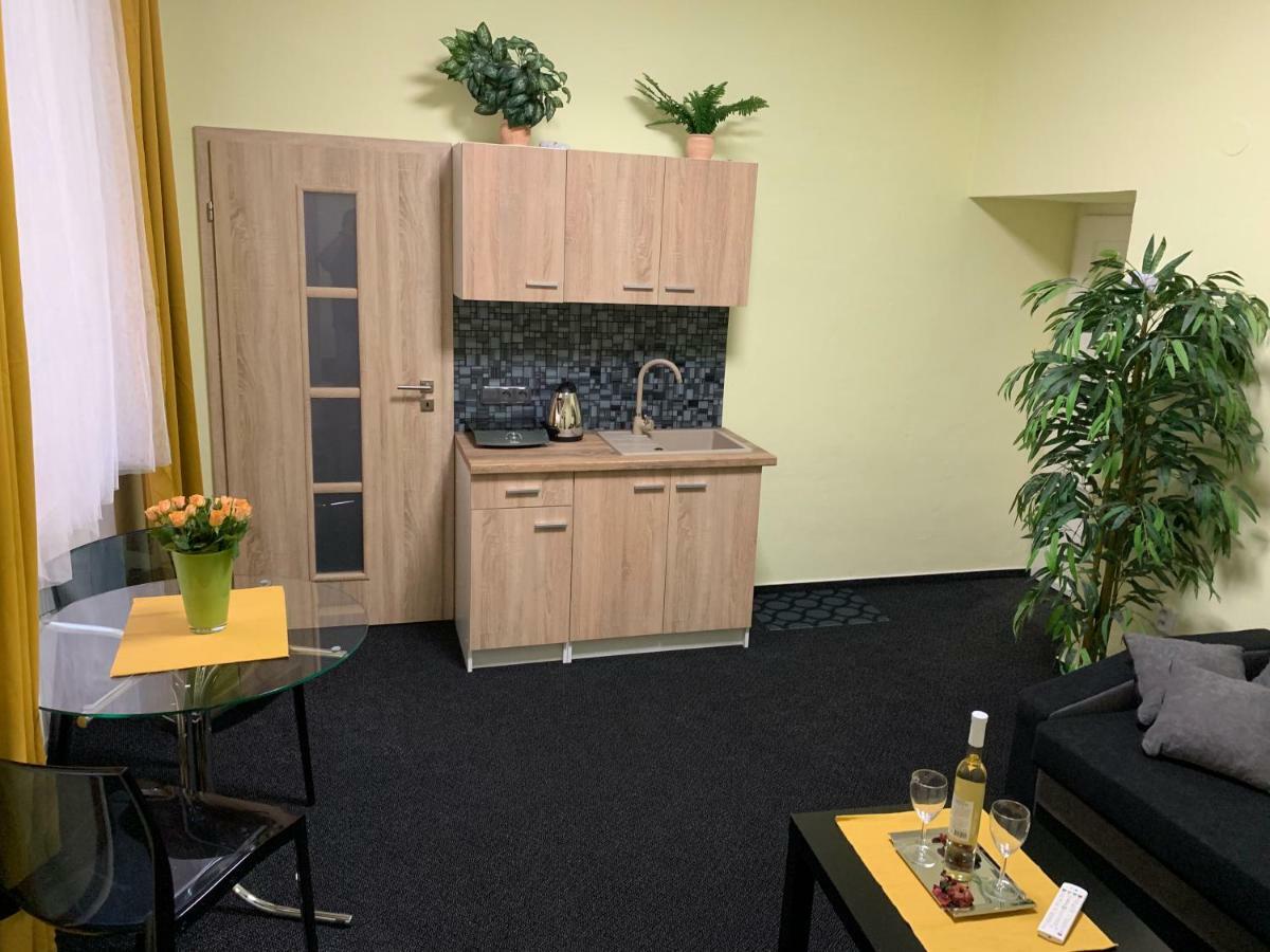 Apartman Alesta Bruntál エクステリア 写真